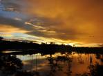 Maravilhoso pôr-do-sol nos alagados entre Roraima e Amazonas